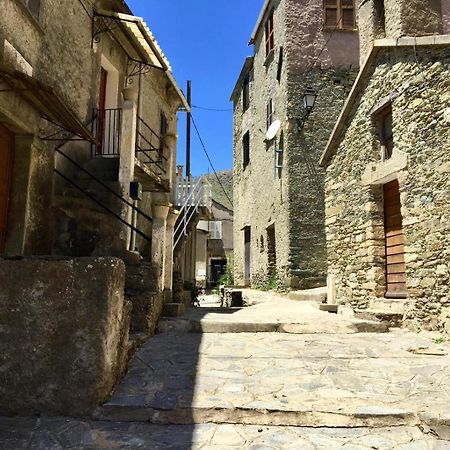 Nuits Magiques Au Village Entre Mer Et Montagnes Bigorno Bagian luar foto