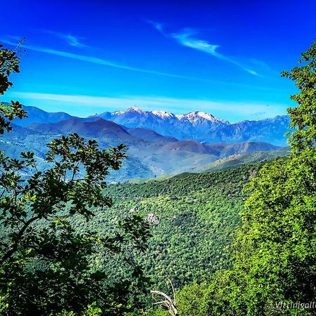 Nuits Magiques Au Village Entre Mer Et Montagnes Bigorno Bagian luar foto