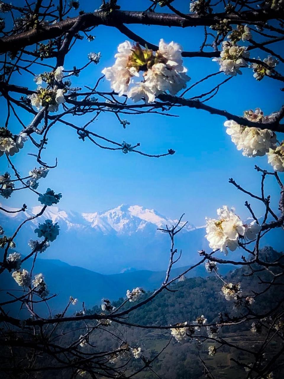 Nuits Magiques Au Village Entre Mer Et Montagnes Bigorno Bagian luar foto