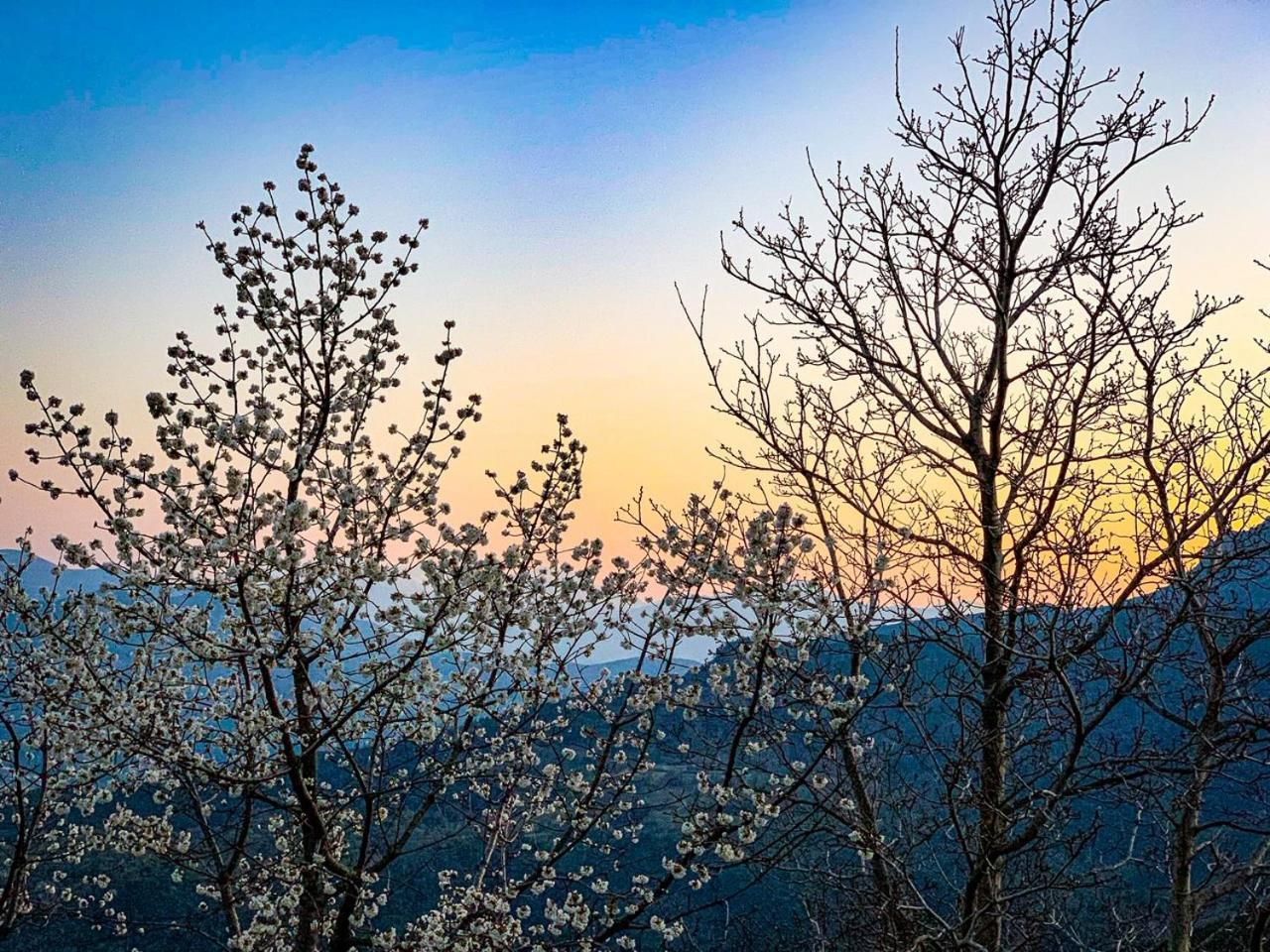 Nuits Magiques Au Village Entre Mer Et Montagnes Bigorno Bagian luar foto
