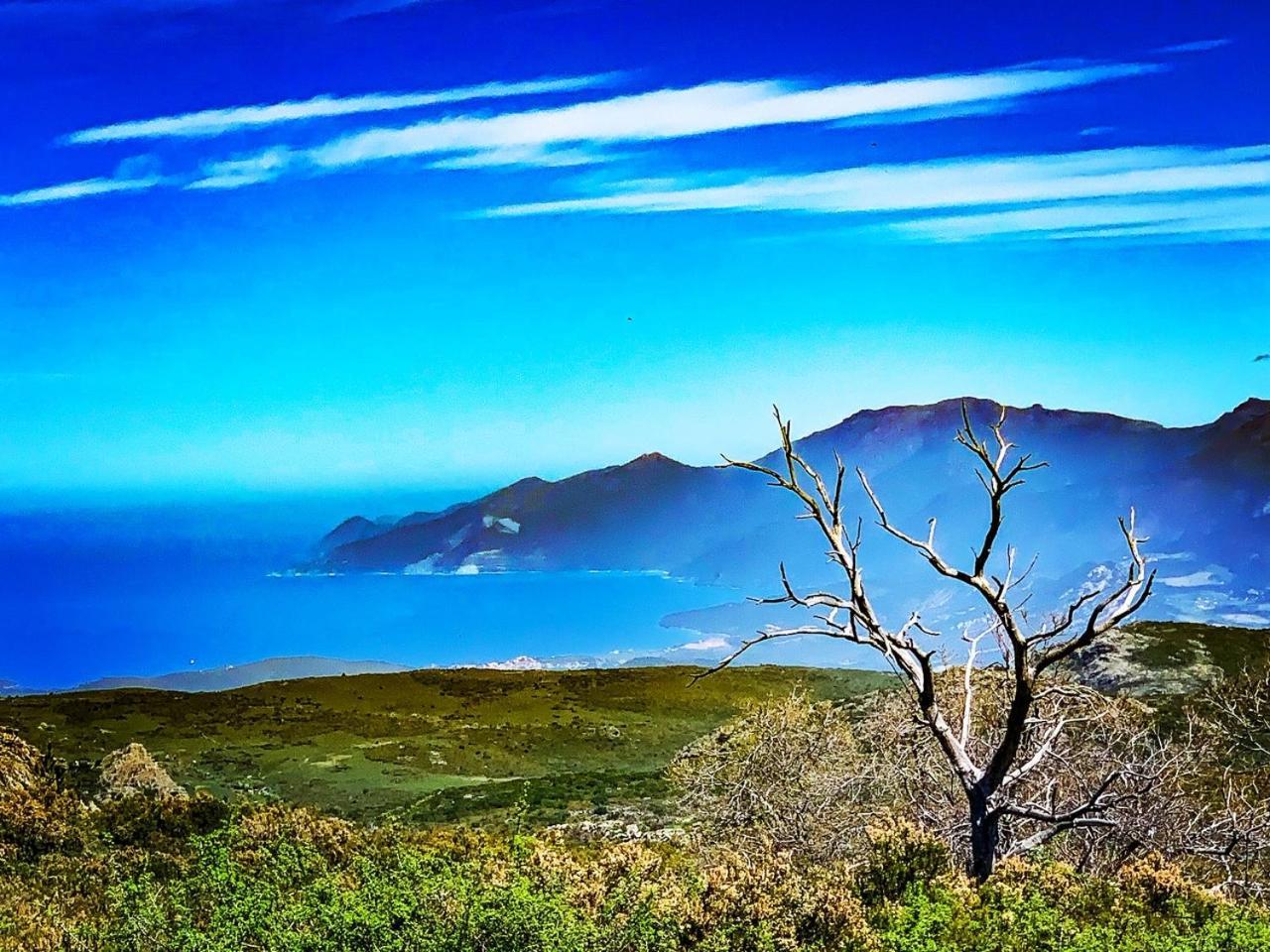Nuits Magiques Au Village Entre Mer Et Montagnes Bigorno Bagian luar foto
