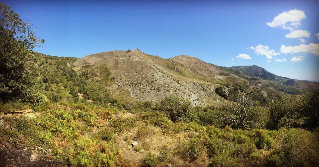 Nuits Magiques Au Village Entre Mer Et Montagnes Bigorno Bagian luar foto