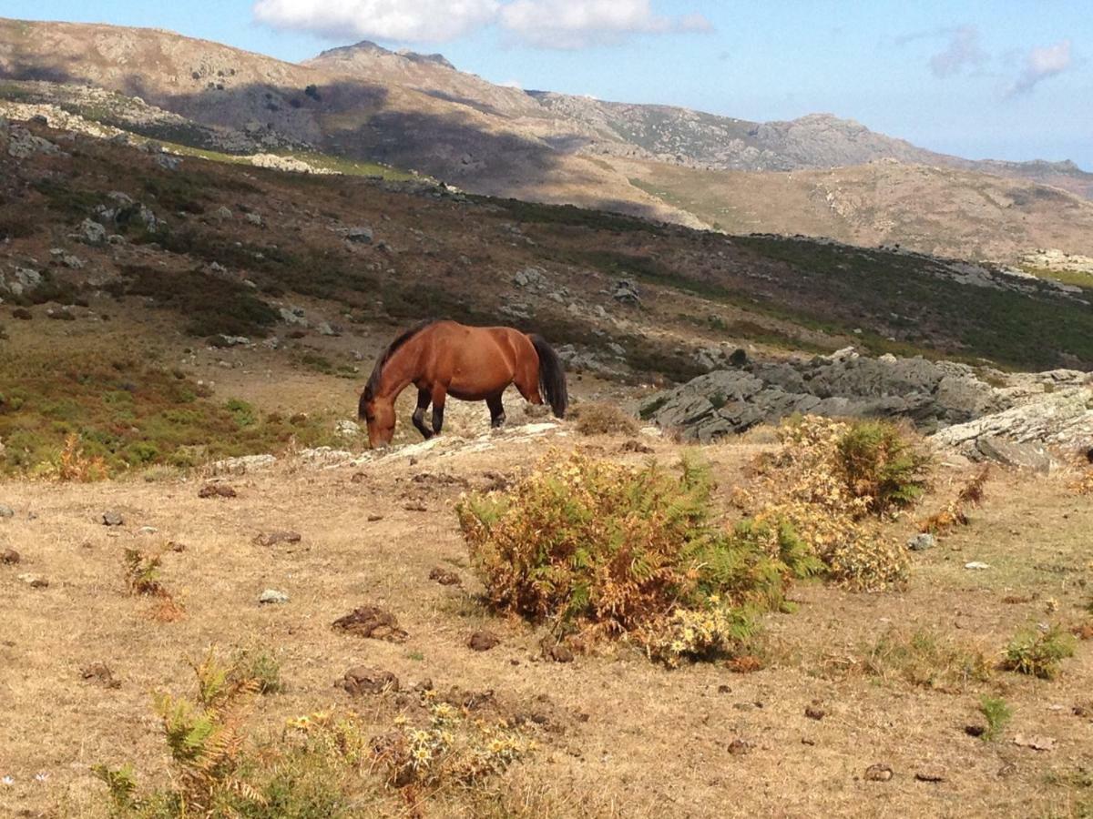 Nuits Magiques Au Village Entre Mer Et Montagnes Bigorno Bagian luar foto