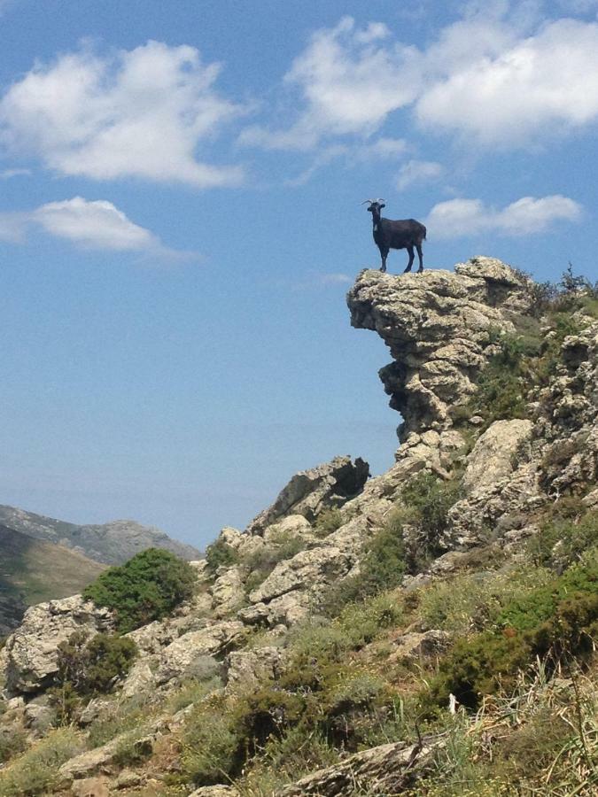 Nuits Magiques Au Village Entre Mer Et Montagnes Bigorno Bagian luar foto